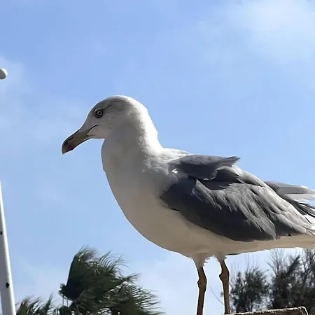 Et Confort Votre Sejour Proche Apartment Valras-Plage